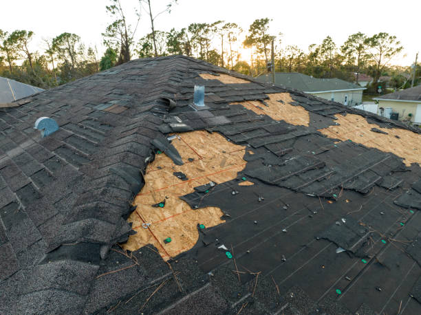 Asphalt Shingles Roofing in Oakdale, PA